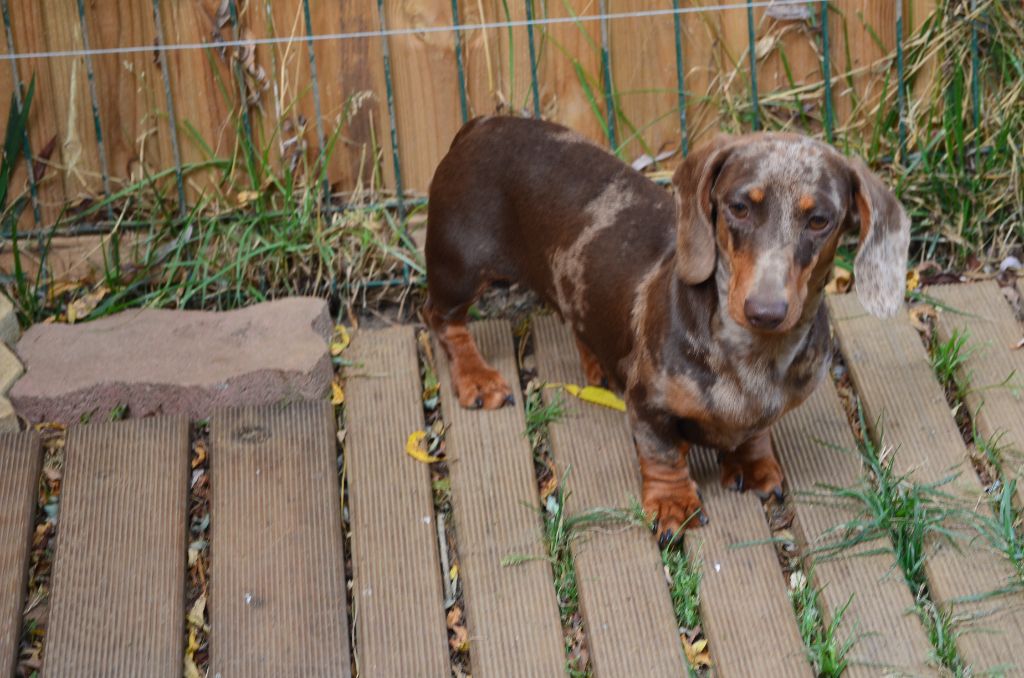 Urielle Du Clos Des Bords De Mer