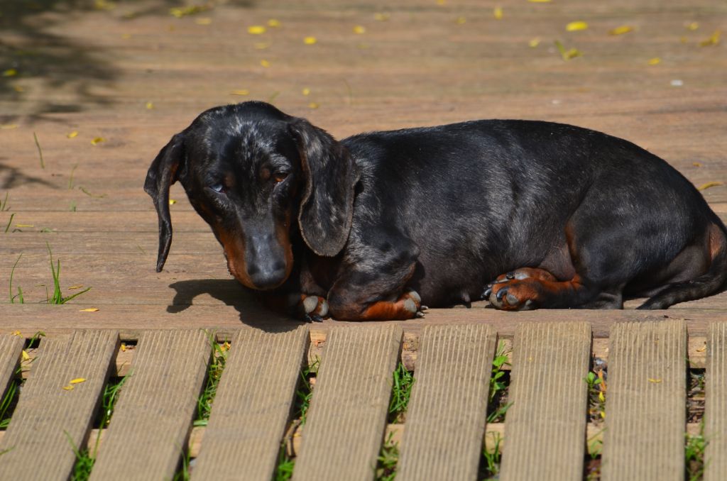 Tempête de la Garenne en Hurepoix