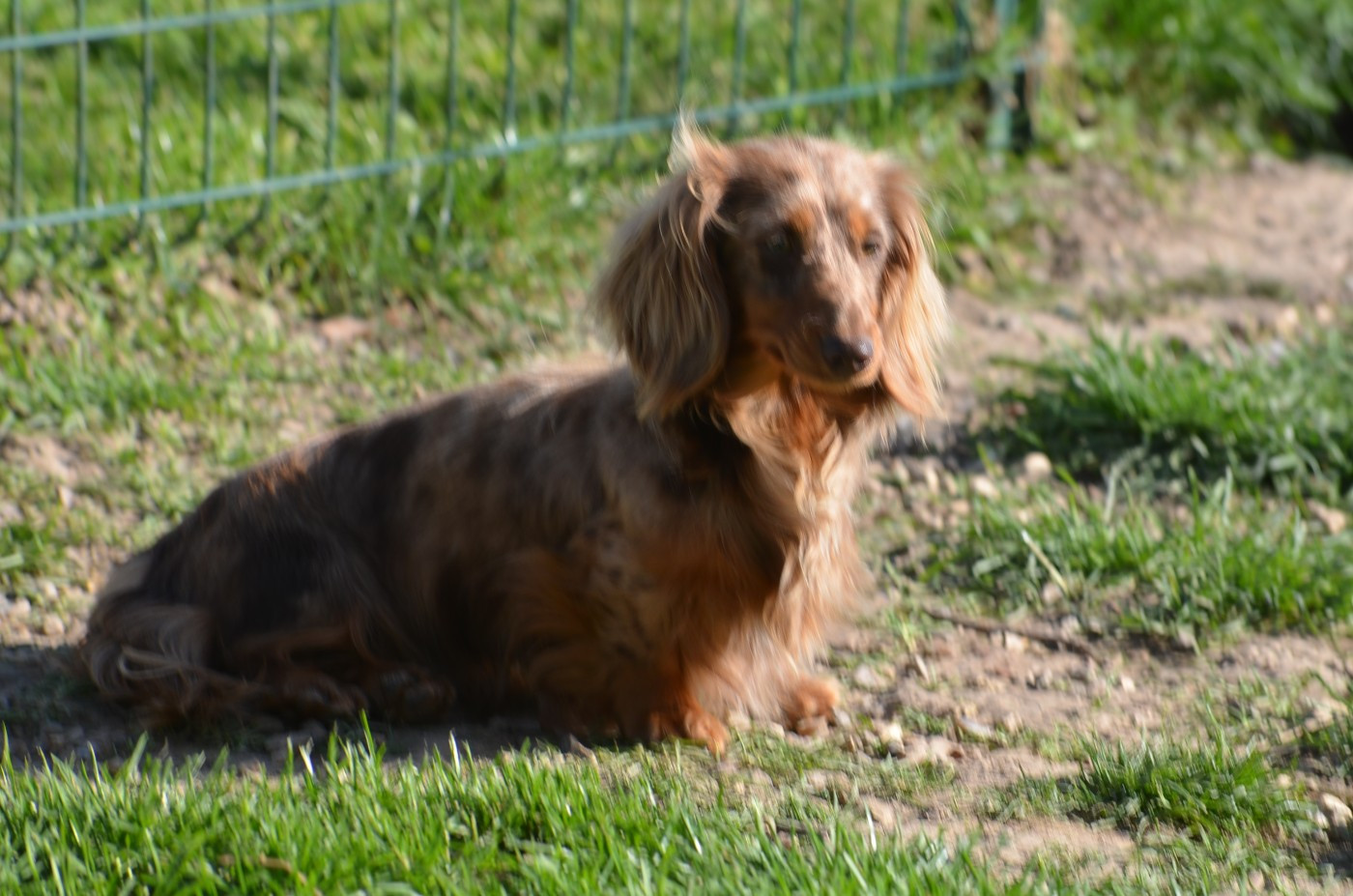 Altesse Du Domaine D'ohcumgache