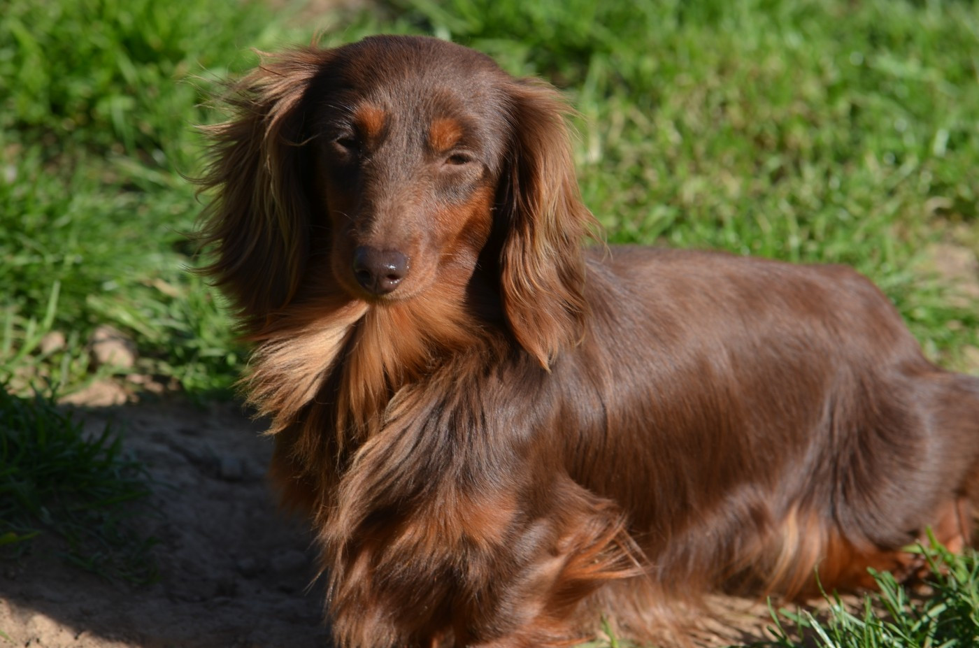 aglaë (alizée) des pierres de jade